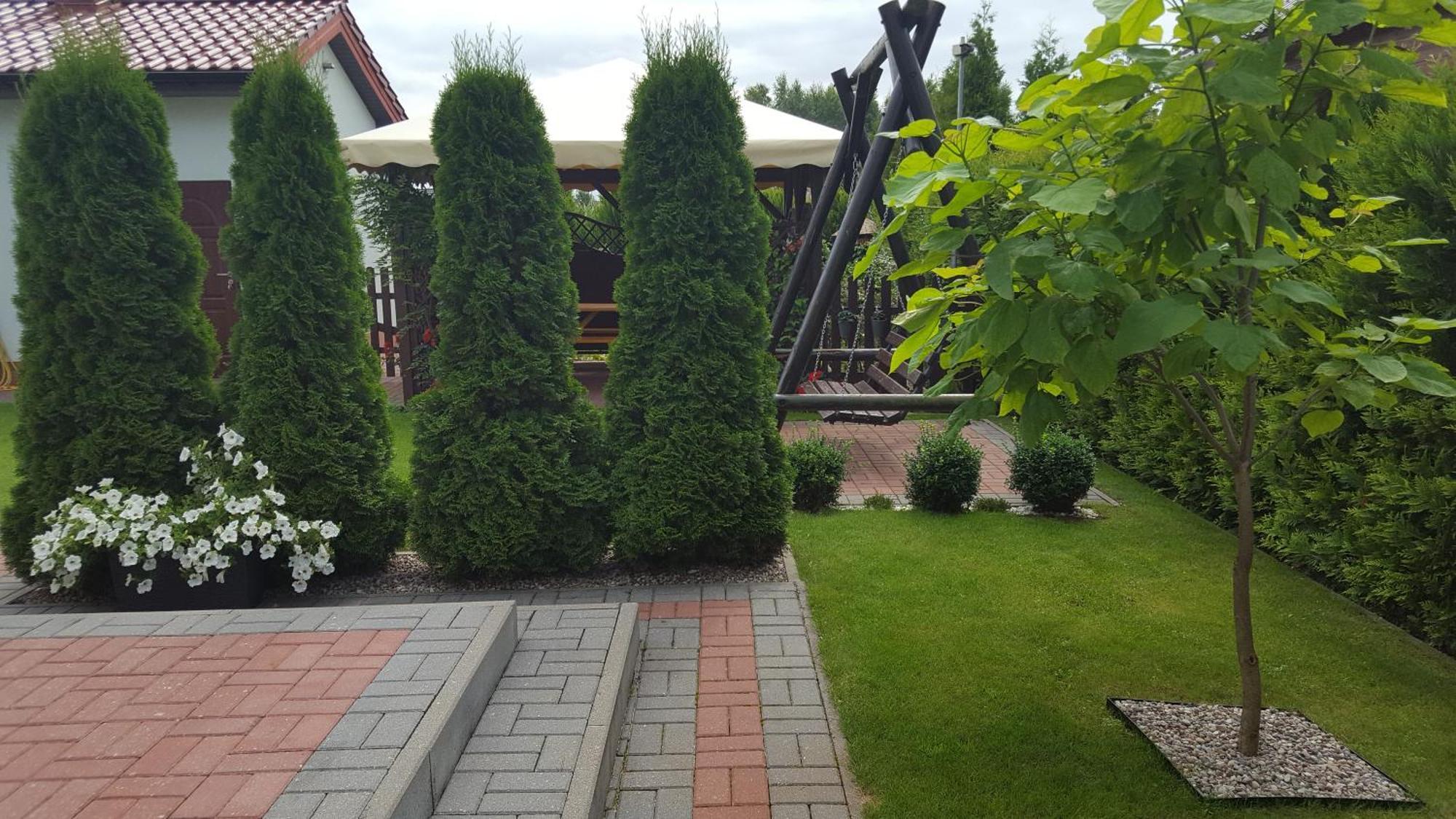 Malinowe Lato Daire Grzybowo  Dış mekan fotoğraf